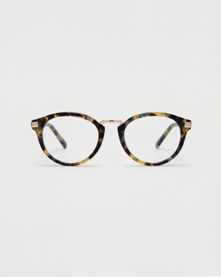 Ann Brown Havana Blue Light