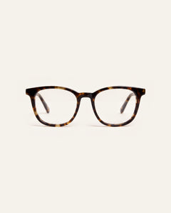 Zoey Amber Turtle Readers
